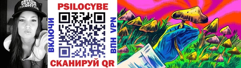 дарк нет наркотические препараты  Бирюч  Галлюциногенные грибы MAGIC MUSHROOMS  закладка 